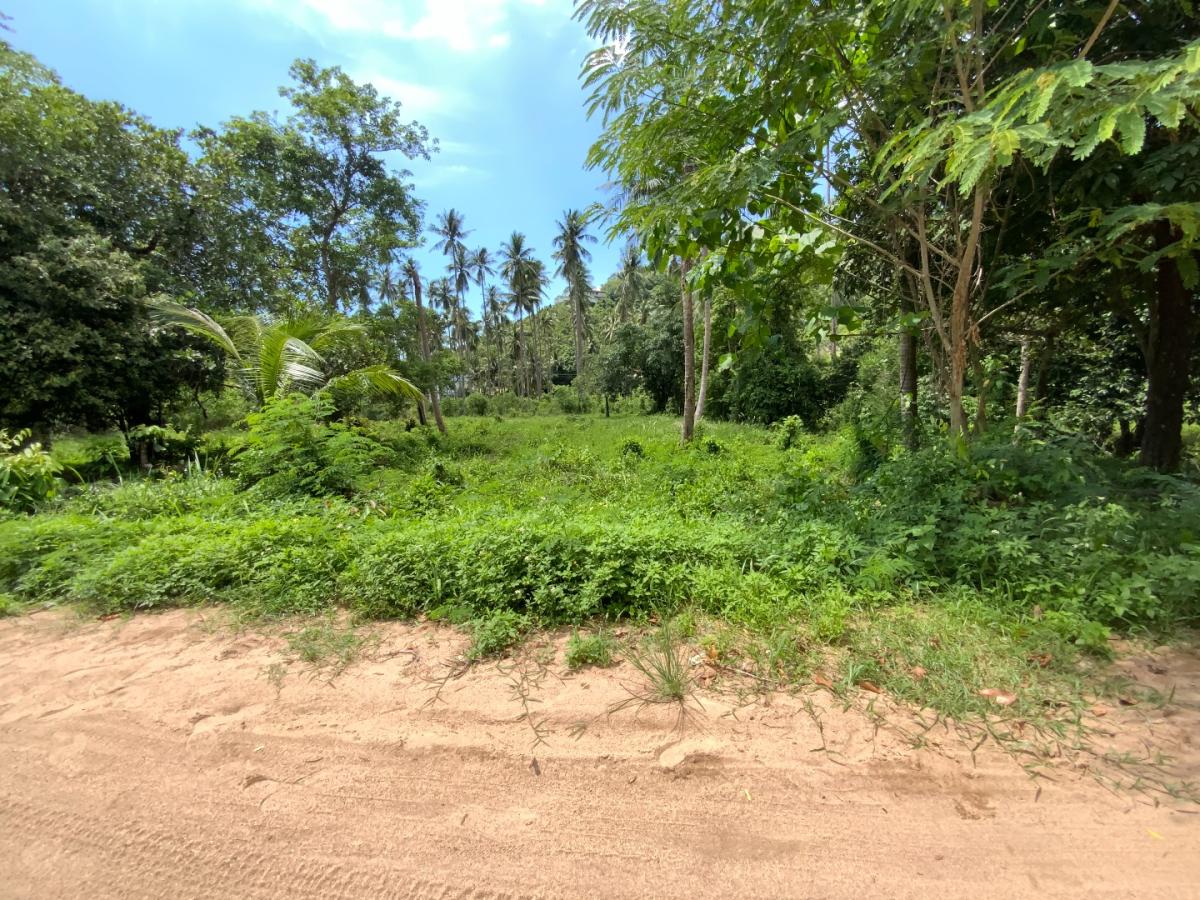 Flat land in Bang Po