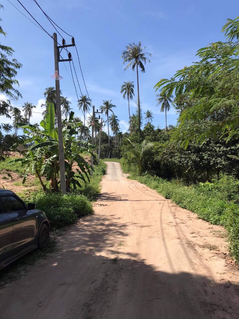 Flat land in Bang Po