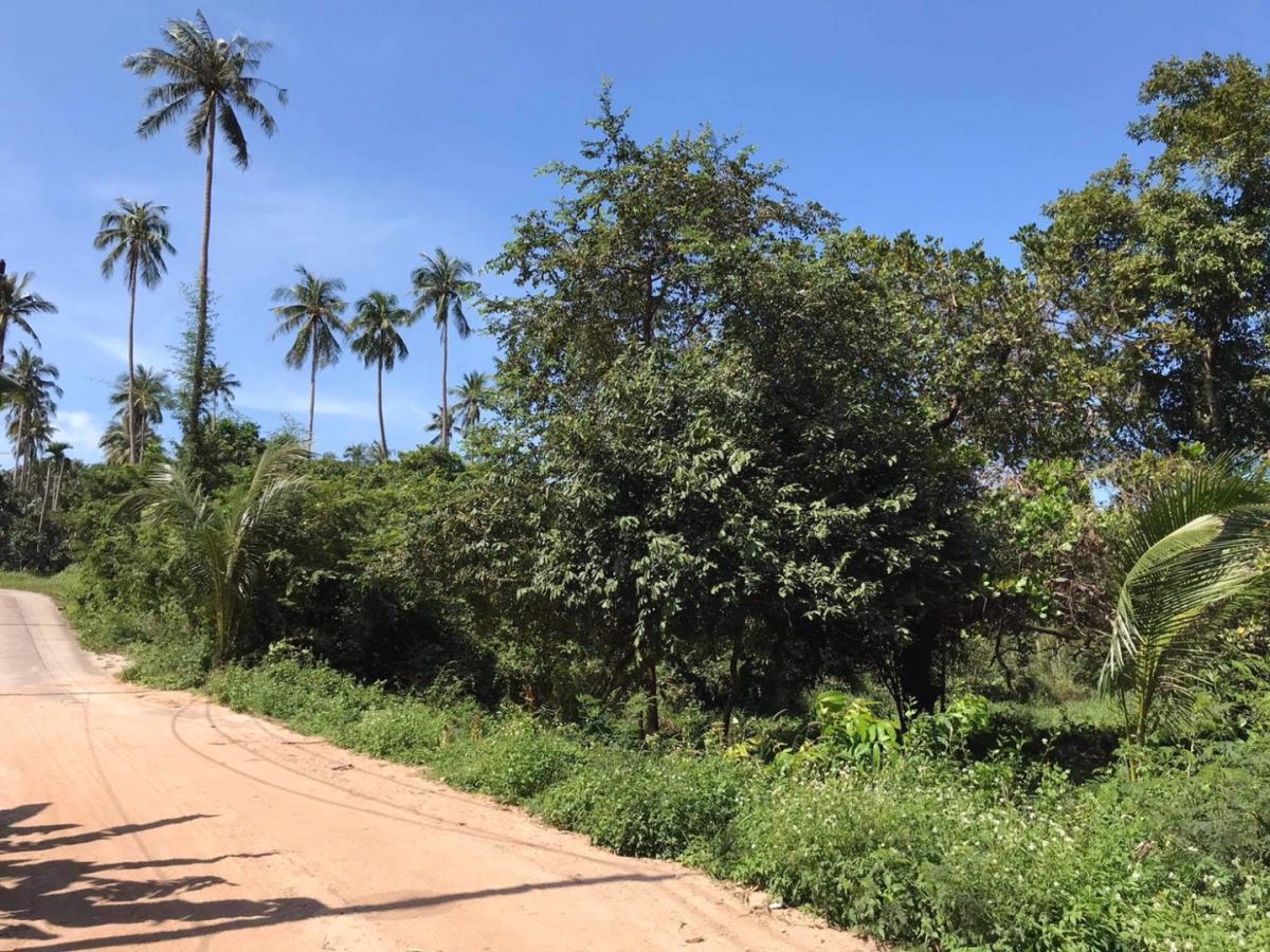 Flat land in Bang Po